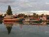 004IMG_7905.jpg